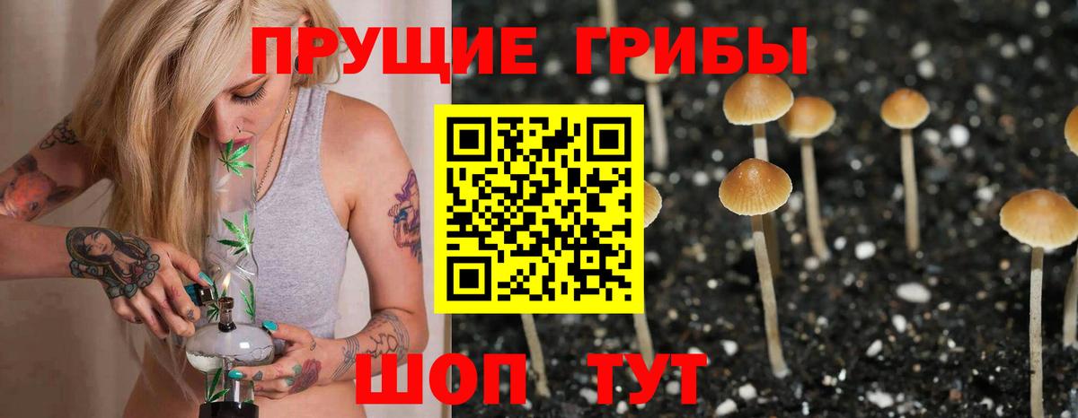 Галлюциногенные грибы GOLDEN TEACHER Владивосток